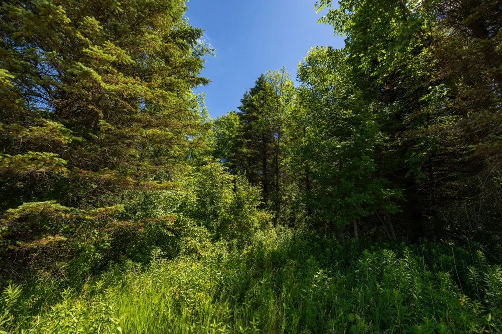 TBD Base Line Road Dundas, MN 55019