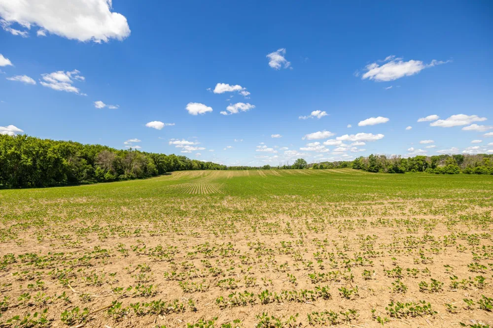 TBD Base Line Road Dundas, MN 55019