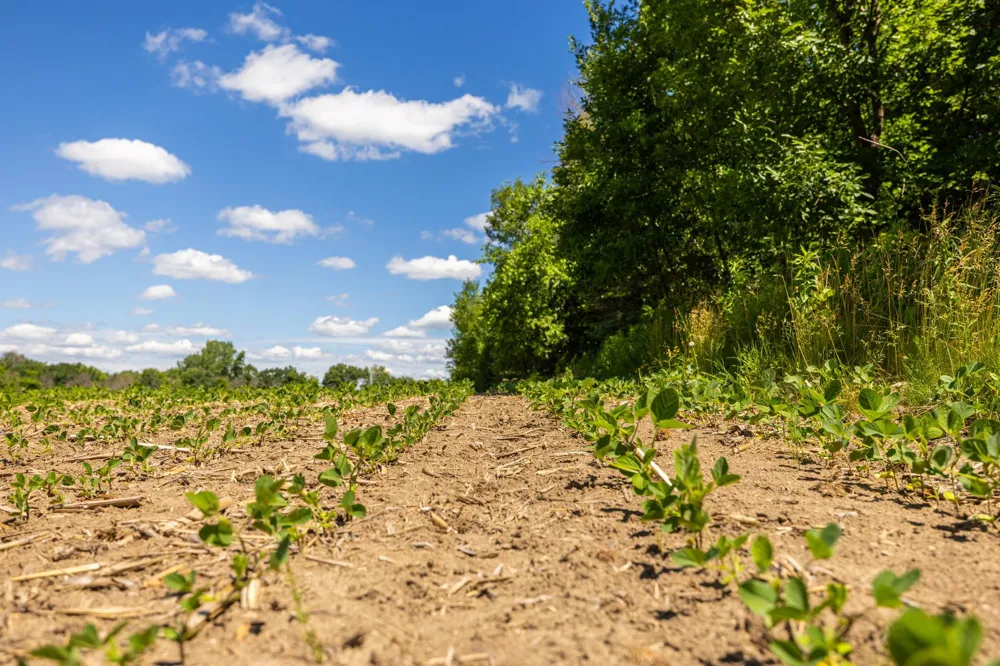 TBD Base Line Road Dundas, MN 55019
