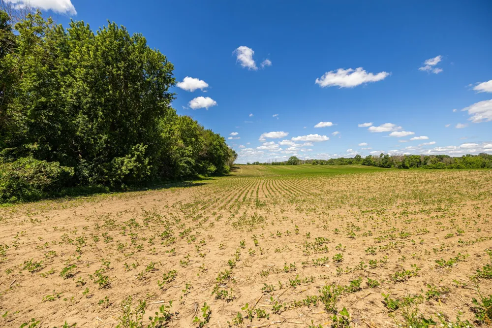 TBD Base Line Road Dundas, MN 55019