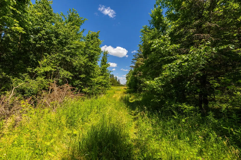 TBD Base Line Road Dundas, MN 55019