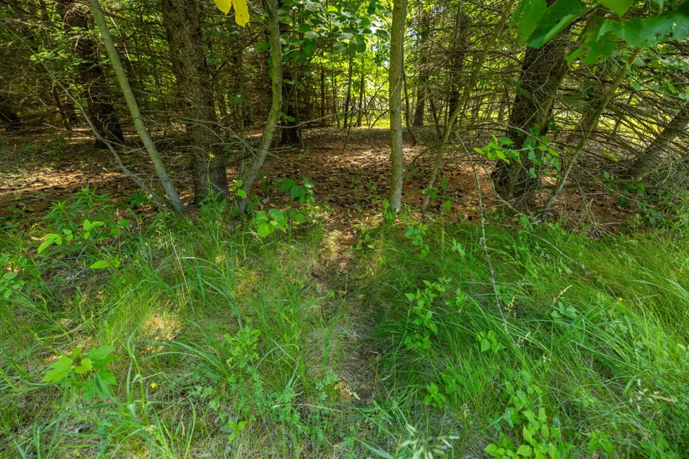TBD Base Line Road Dundas, MN 55019