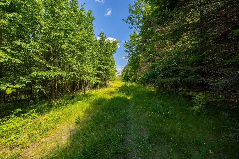TBD Base Line Road Dundas, MN 55019