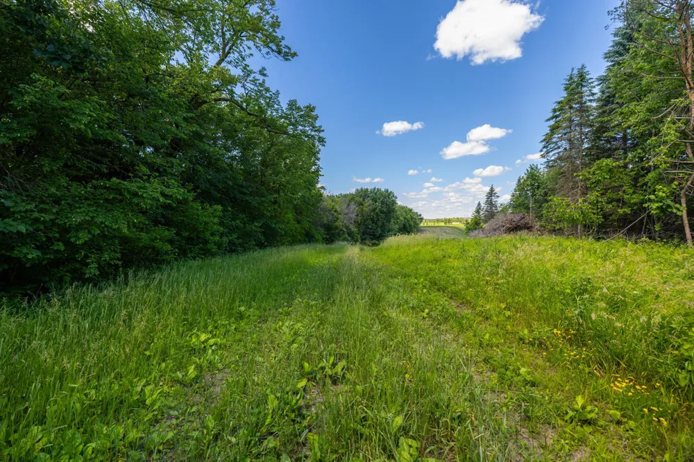 TBD Base Line Road Dundas, MN 55019