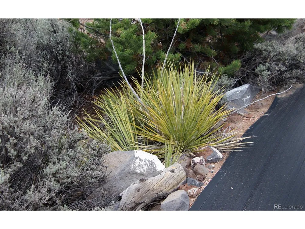 5252 Valley View Trail San Luis, CO 81152