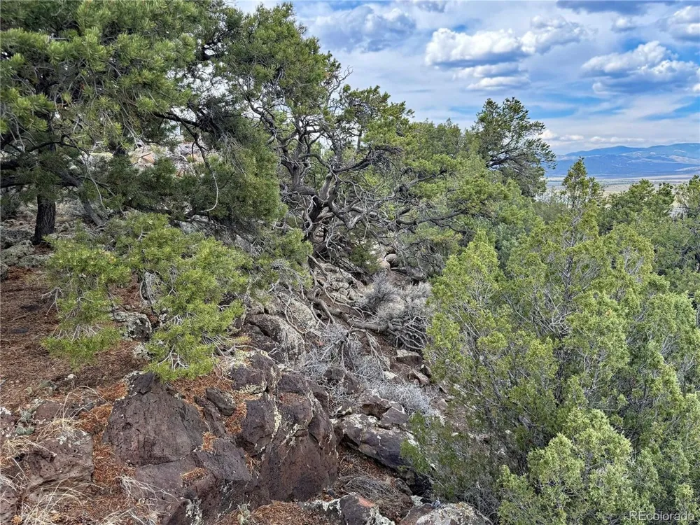 5252 Valley View Trail San Luis, CO 81152