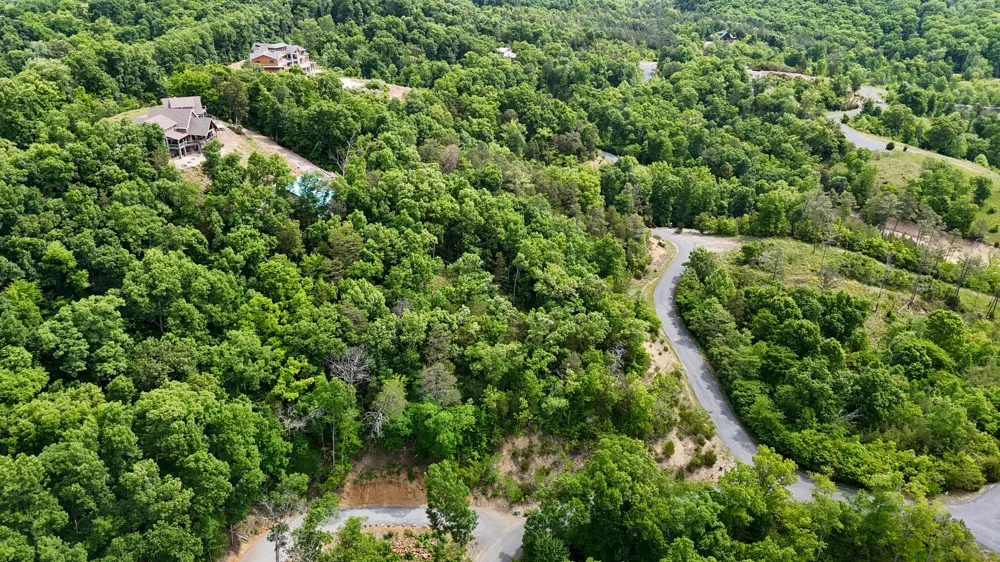 79 Stone Bridge Dr Dandridge, TN 37725