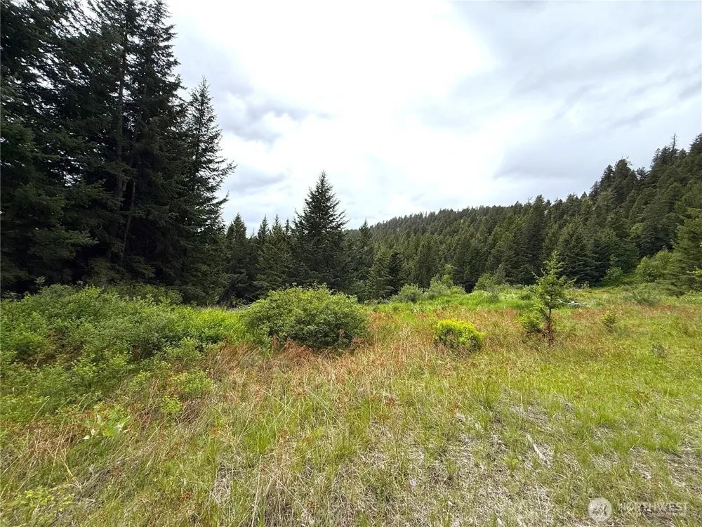 0 Pontiac Ridge Road Oroville, WA 98844
