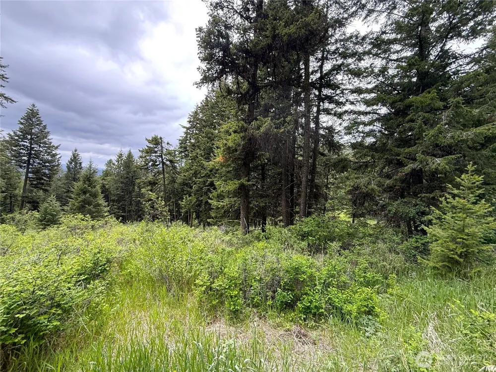 0 Pontiac Ridge Road Oroville, WA 98844