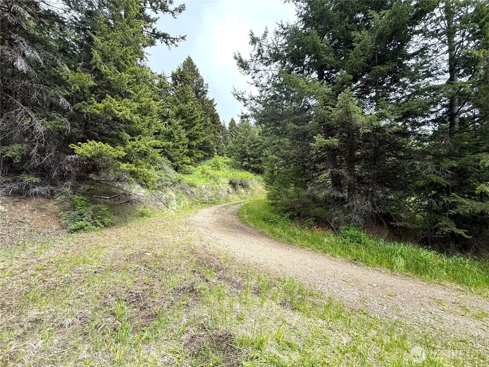 0 Pontiac Ridge Road Oroville, WA 98844