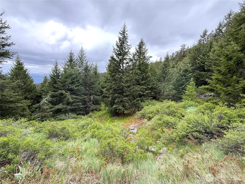 0 Pontiac Ridge Road Oroville, WA 98844