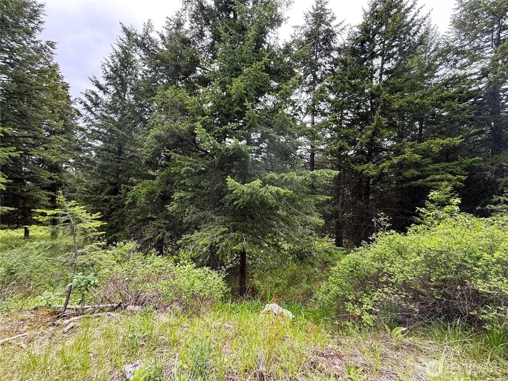 0 Pontiac Ridge Road Oroville, WA 98844