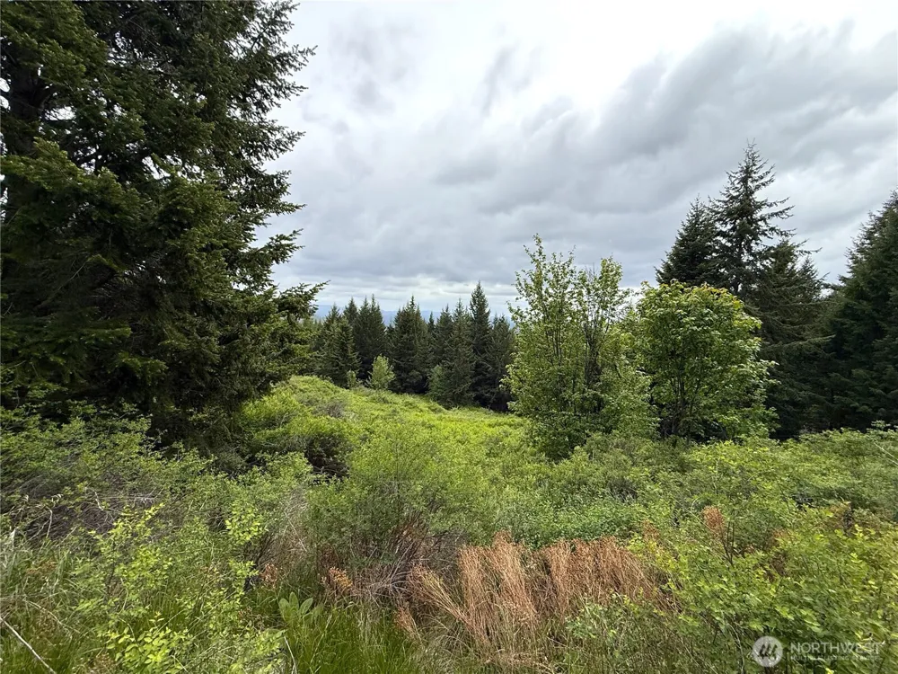 0 Pontiac Ridge Road Oroville, WA 98844