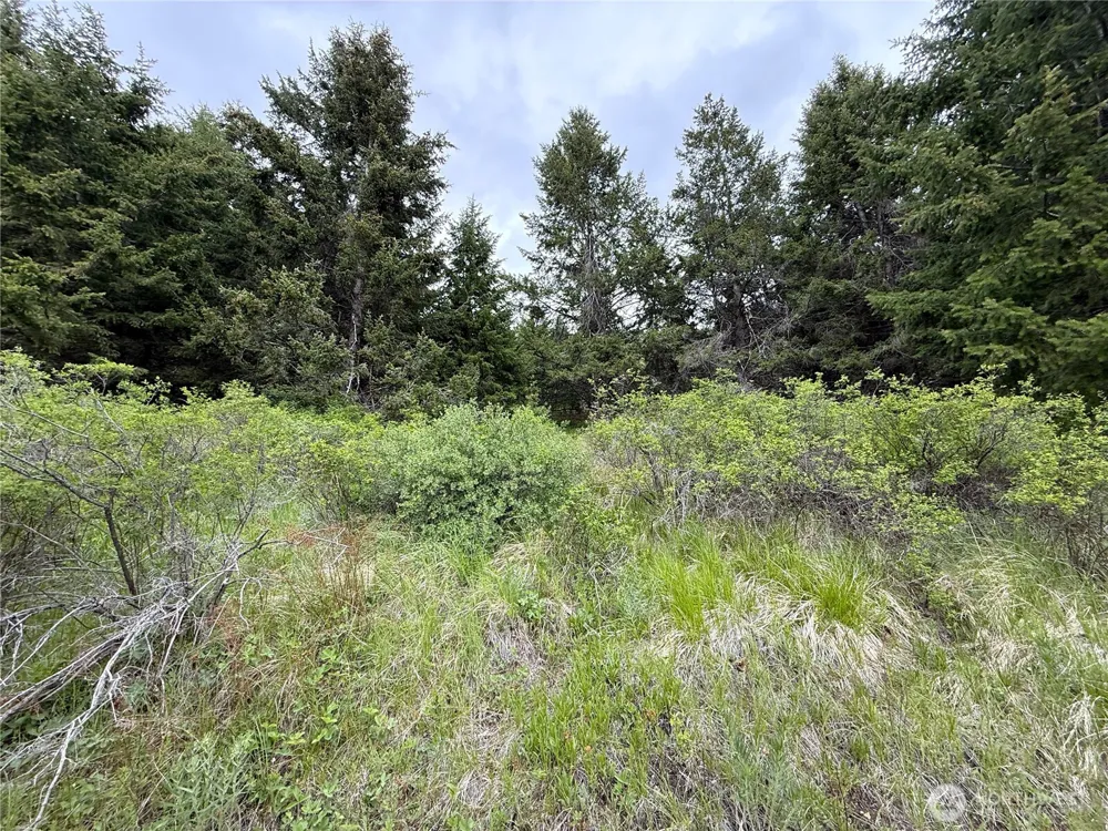 0 Pontiac Ridge Road Oroville, WA 98844