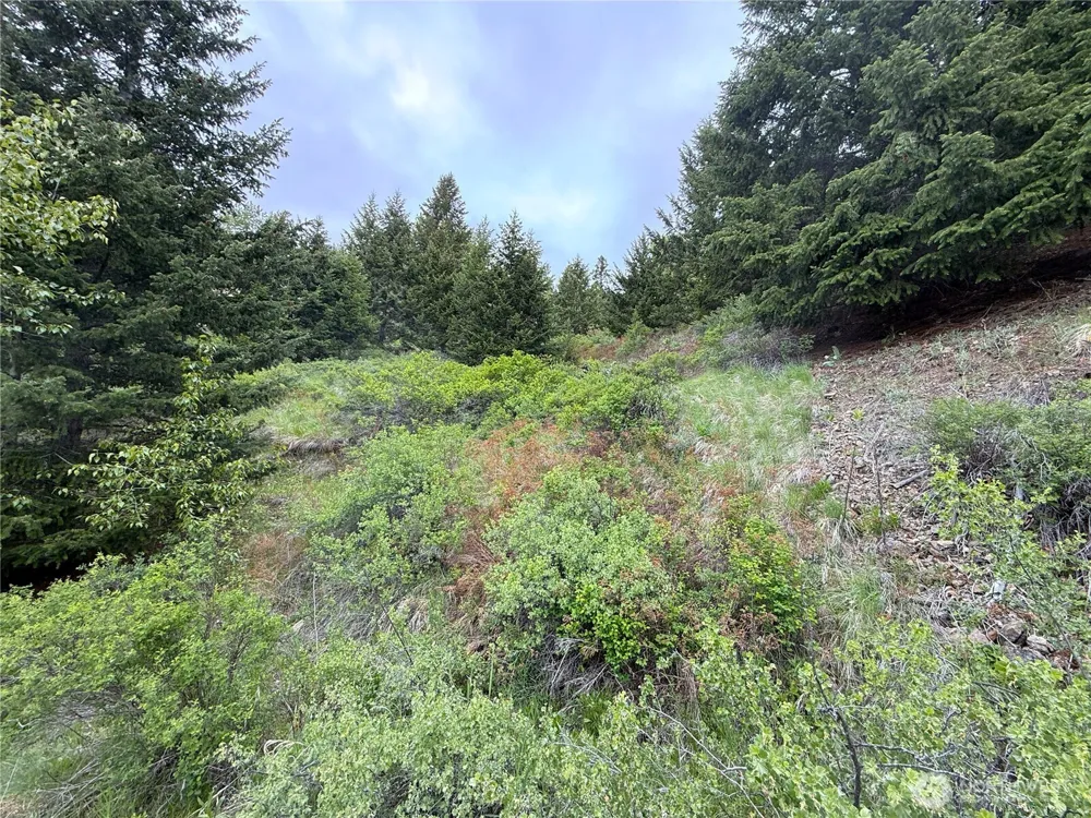 0 Pontiac Ridge Road Oroville, WA 98844
