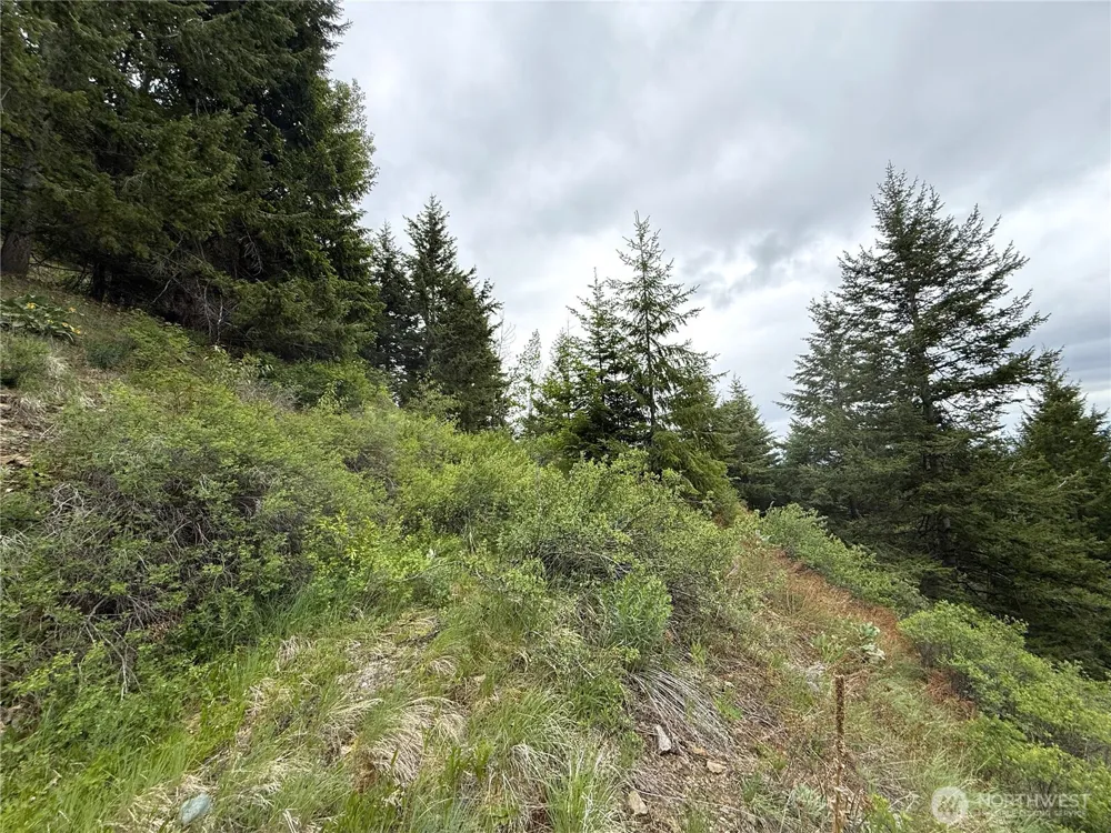 0 Pontiac Ridge Road Oroville, WA 98844