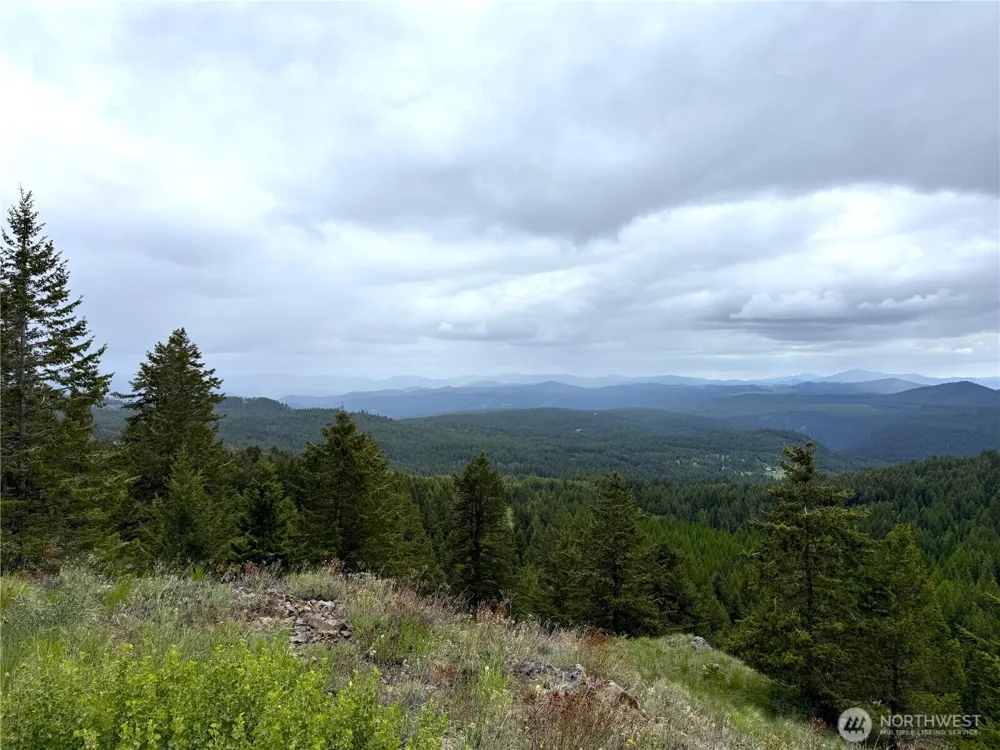 0 Pontiac Ridge Road Oroville, WA 98844