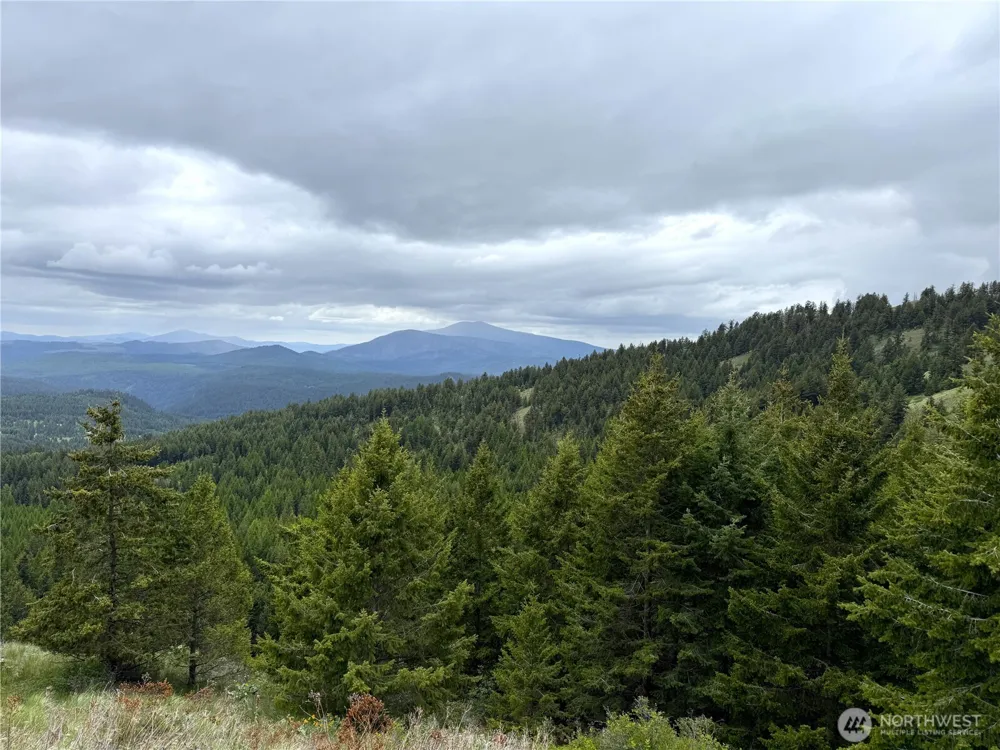 0 Pontiac Ridge Road Oroville, WA 98844