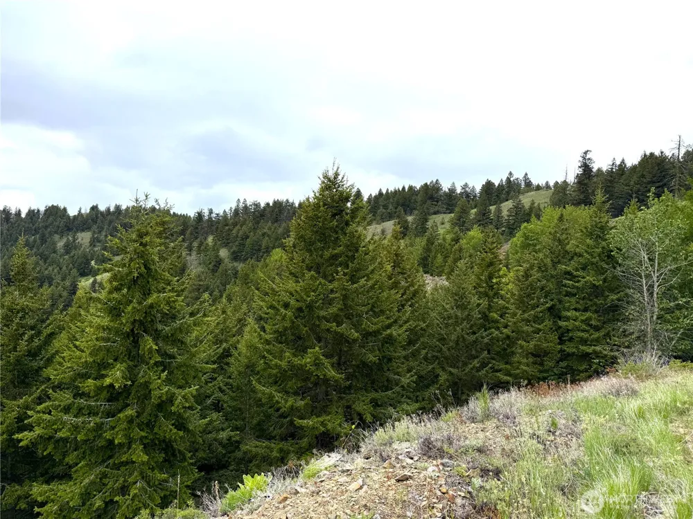0 Pontiac Ridge Road Oroville, WA 98844