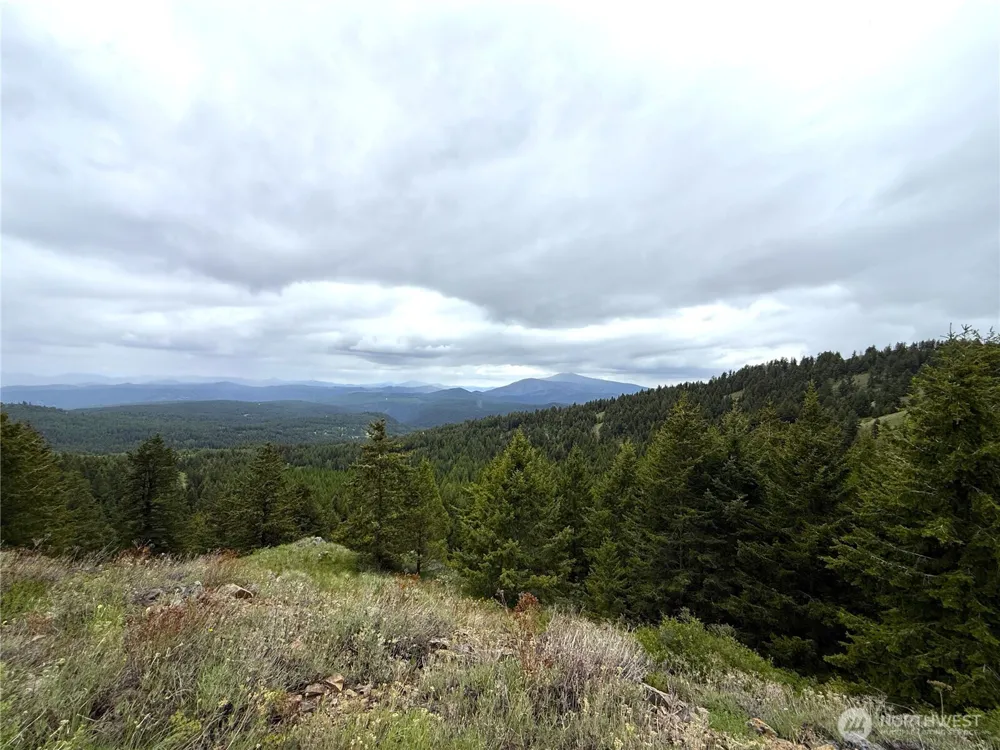 0 Pontiac Ridge Road Oroville, WA 98844