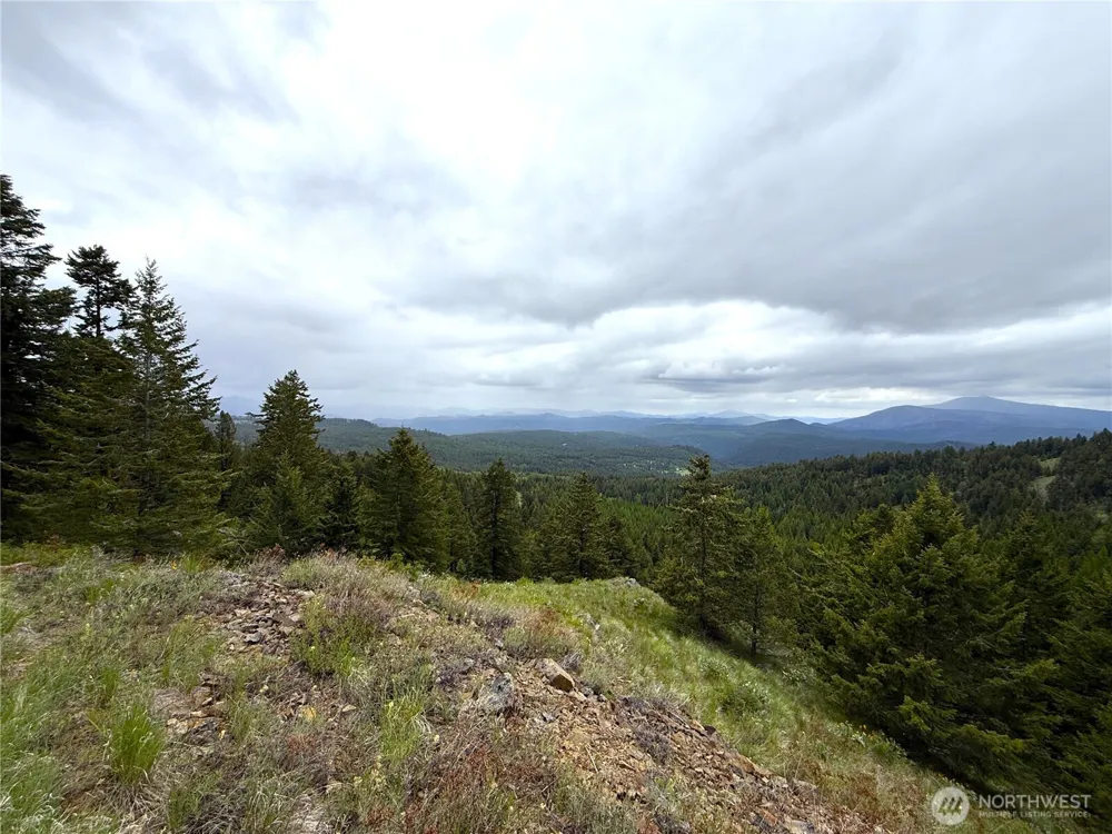0 Pontiac Ridge Road Oroville, WA 98844