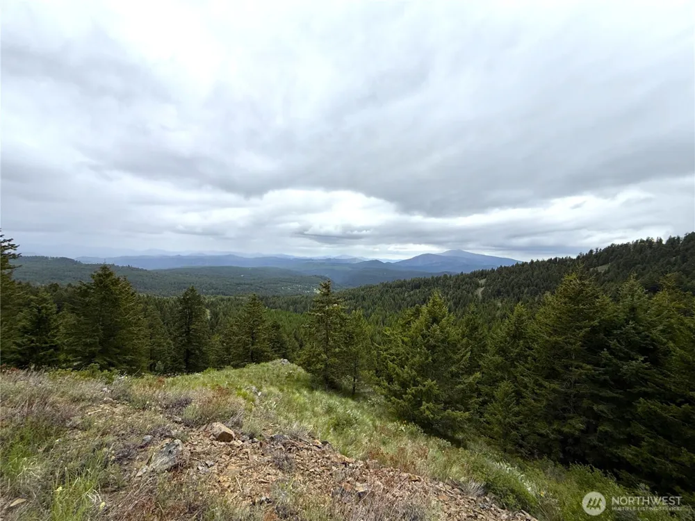 0 Pontiac Ridge Road Oroville, WA 98844