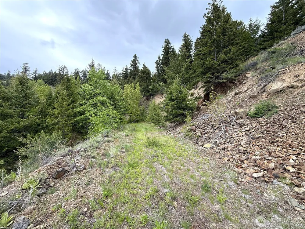 0 Pontiac Ridge Road Oroville, WA 98844