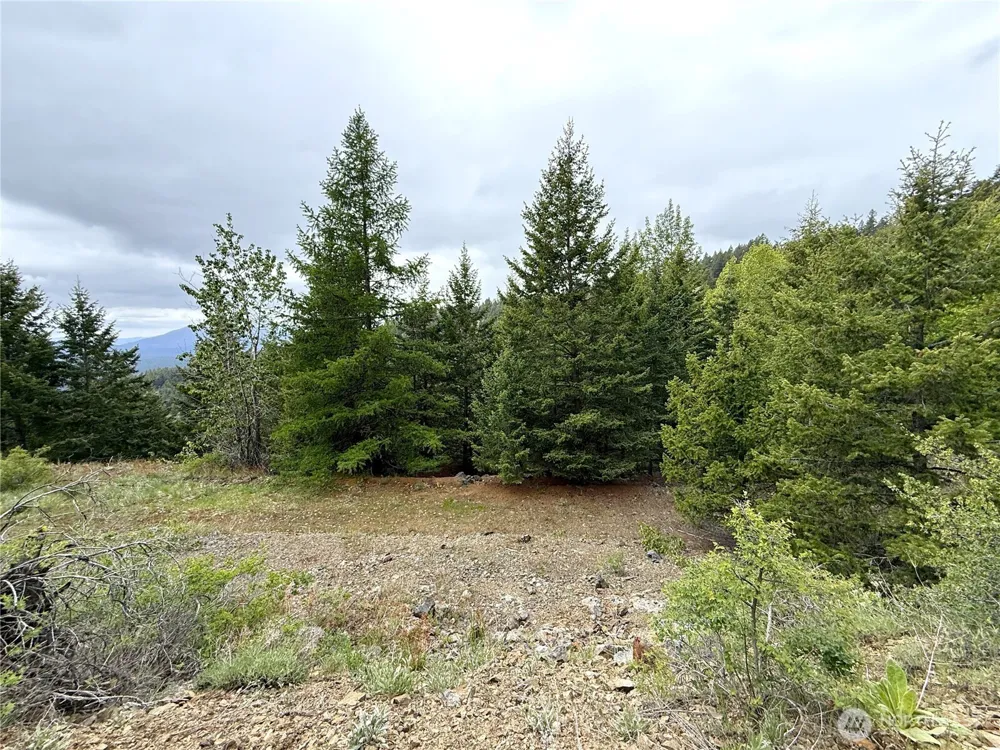 0 Pontiac Ridge Road Oroville, WA 98844