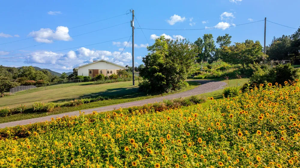 794 Halls Valley Road Trion, GA 30753
