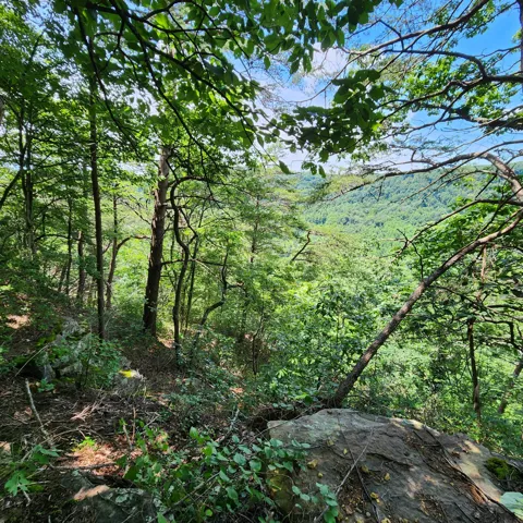 Eagle Point Drive