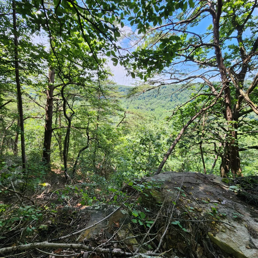 Eagle Point Drive Monteagle, TN 37356