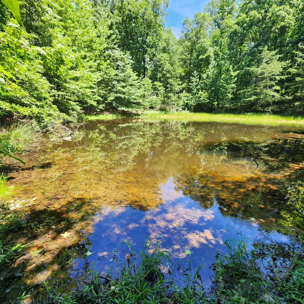 Eagle Point Drive Monteagle, TN 37356