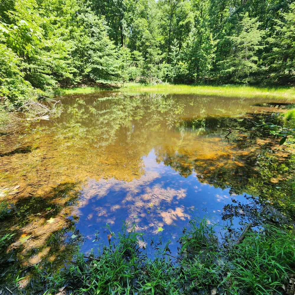 Eagle Point Drive Monteagle, TN 37356