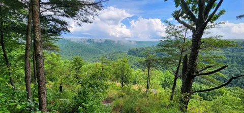 Eagle Point Drive