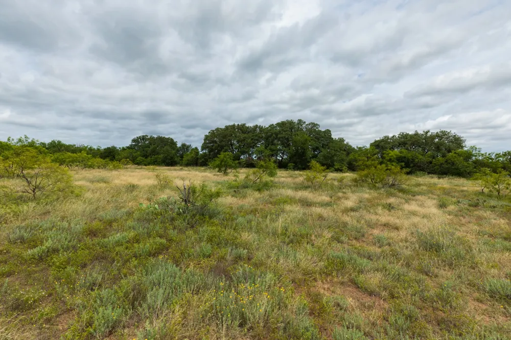 CR 255 Oplin, TX 79510