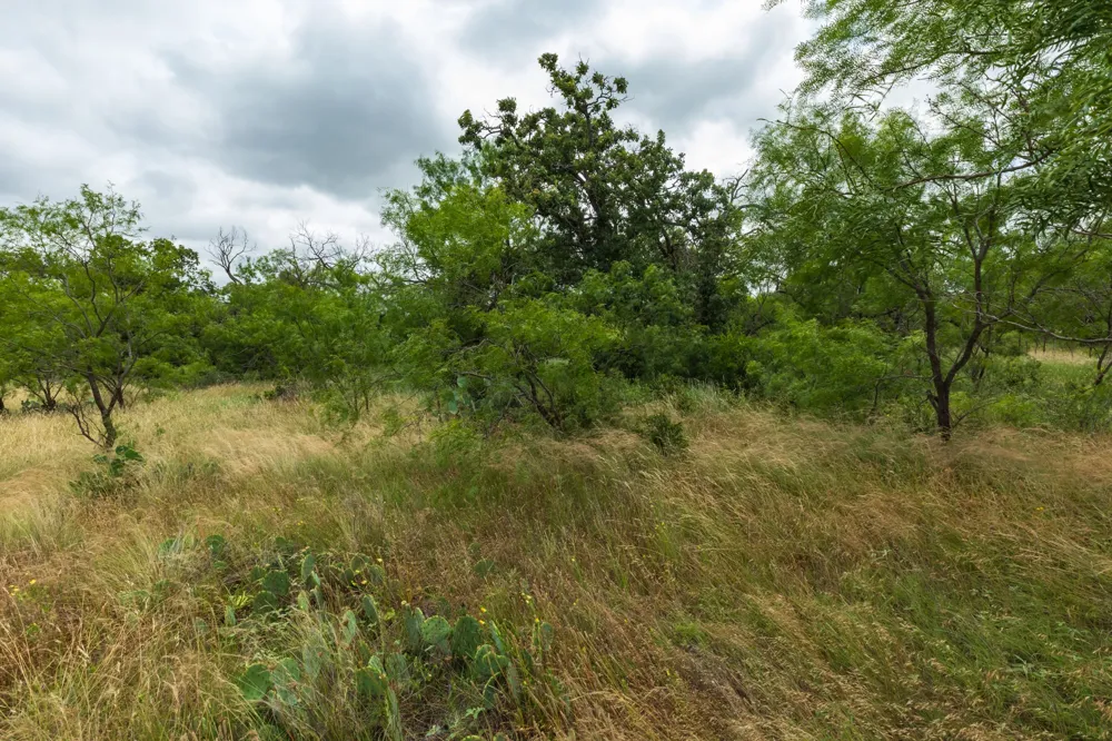 CR 255 Oplin, TX 79510