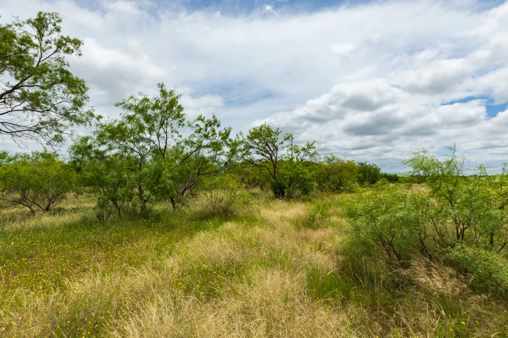 CR 255 Oplin, TX 79510
