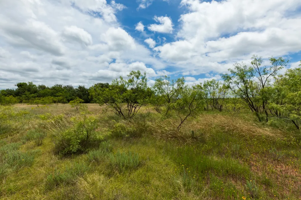 CR 255 Oplin, TX 79510