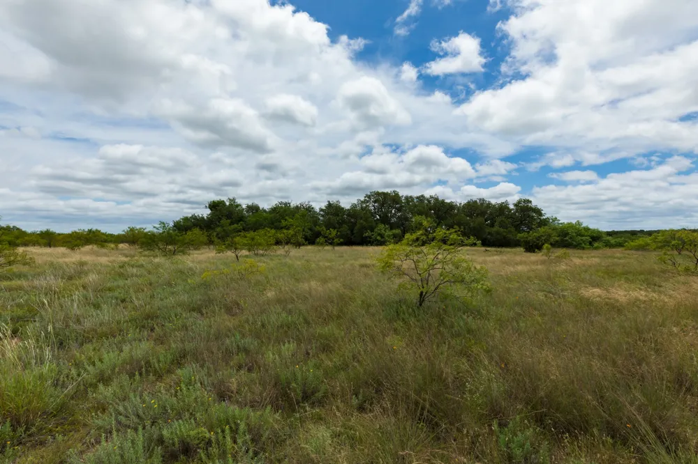 CR 255 Oplin, TX 79510