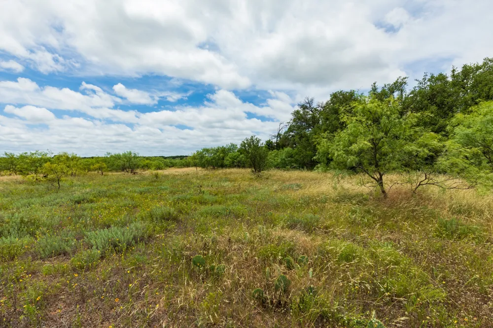 CR 255 Oplin, TX 79510