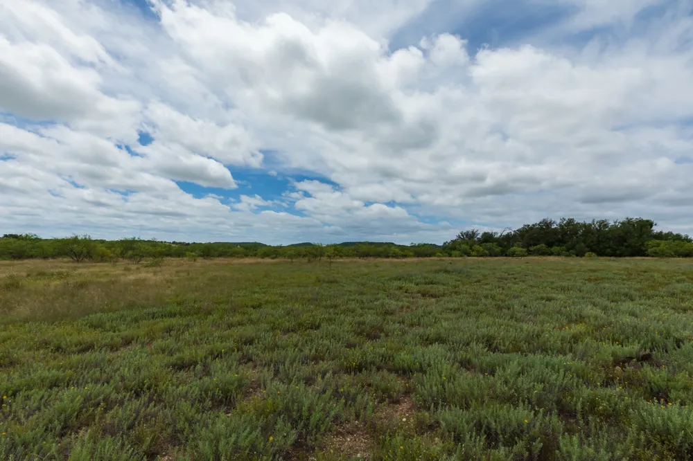 CR 255 Oplin, TX 79510