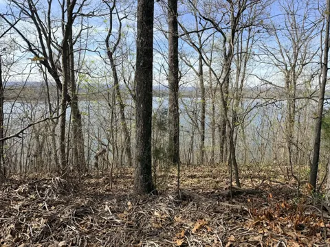 8 Johnson Lane