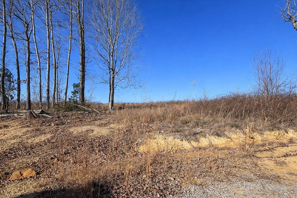 2734 River Road Decatur, TN 37322