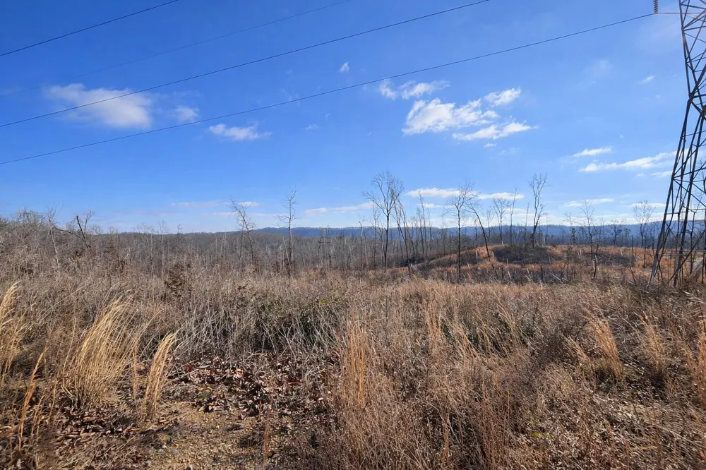 2734 River Road Decatur, TN 37322