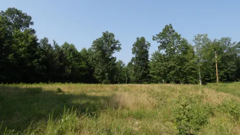 580 Pleasant Cemetery Lane