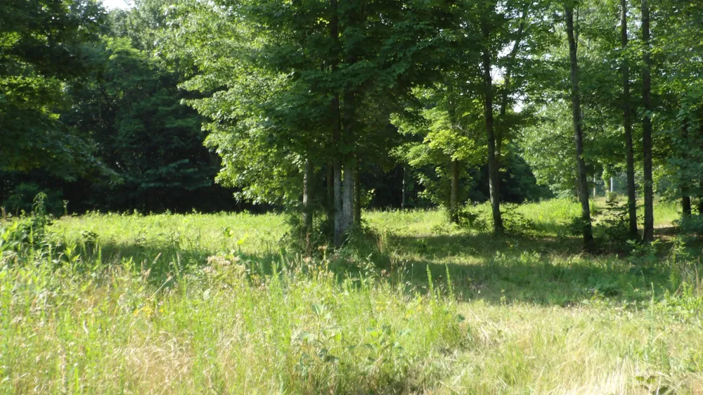 580 Pleasant Cemetery Lane Gainesboro, TN 38562
