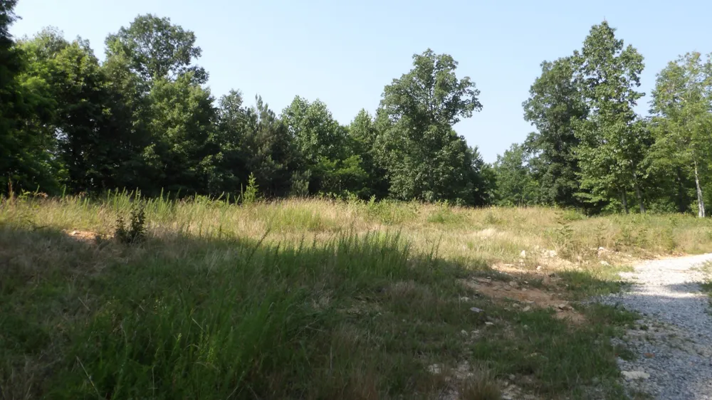 580 Pleasant Cemetery Lane Gainesboro, TN 38562