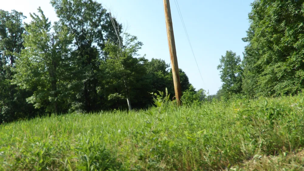 580 Pleasant Cemetery Lane Gainesboro, TN 38562