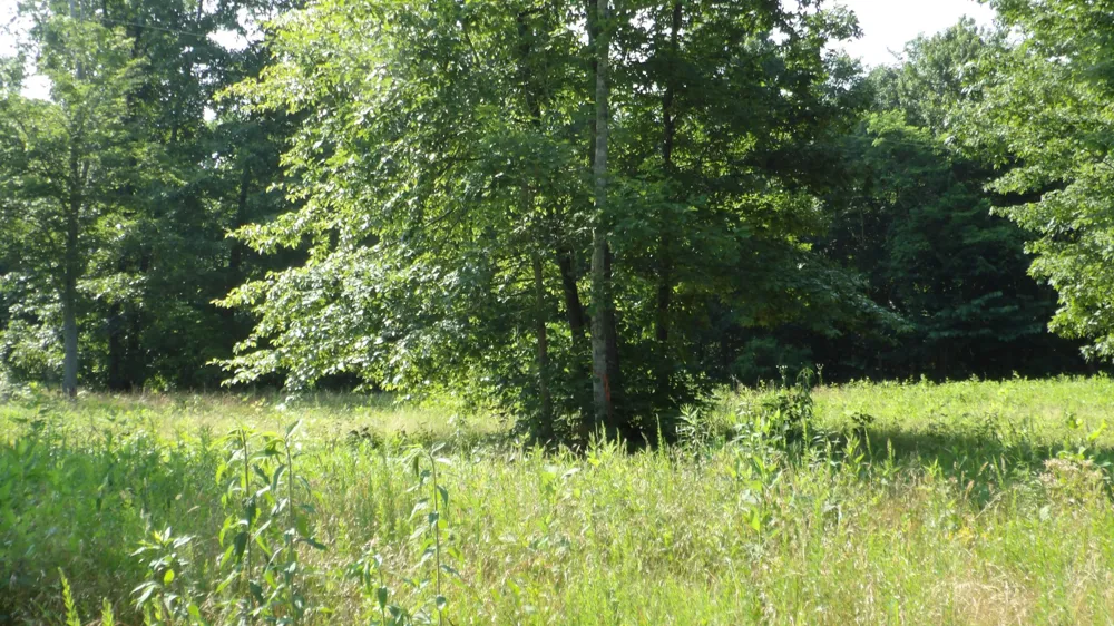 580 Pleasant Cemetery Lane Gainesboro, TN 38562