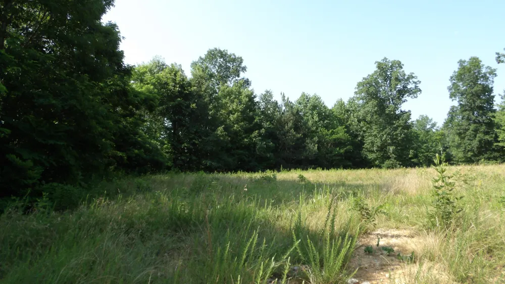 580 Pleasant Cemetery Lane Gainesboro, TN 38562